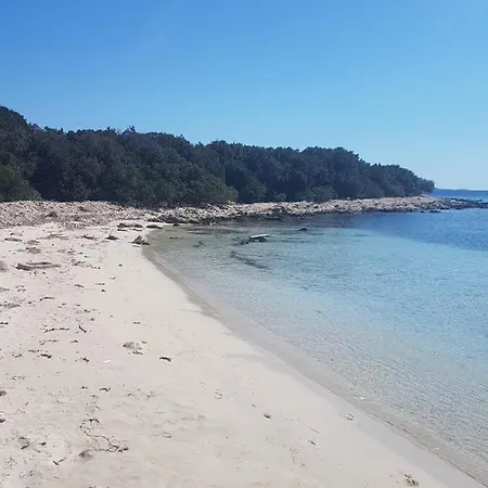 Bakalardovi